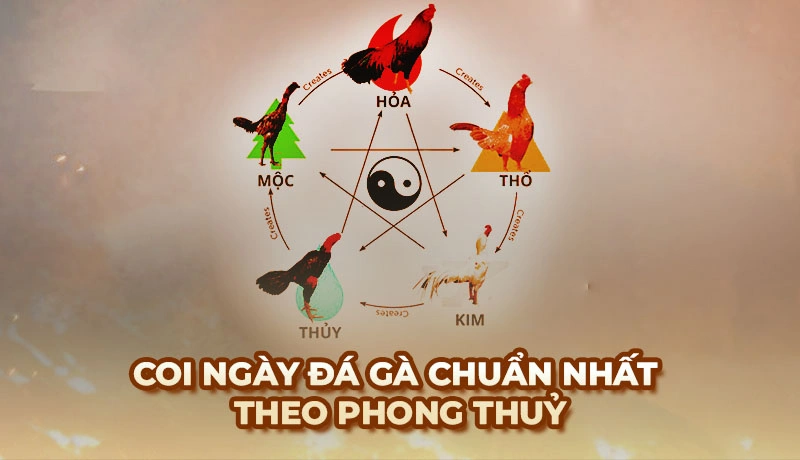 Coi ngày đá gà chuẩn nhất từ phong thuỷ